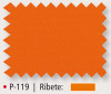 P-119