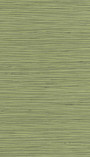 Colección_CEYLAN_CN_304